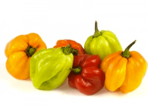 5 Ingredients that Fire up Jamaican Cuisine