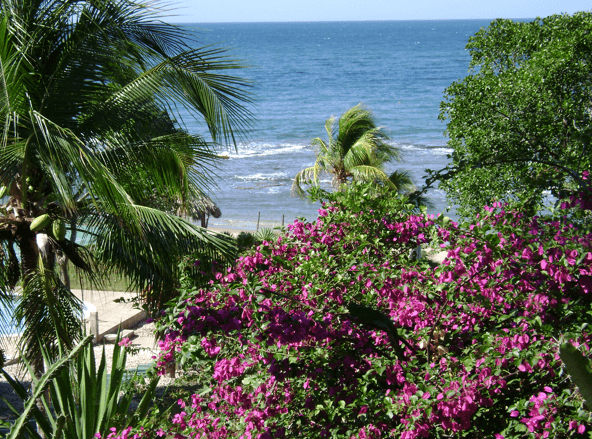Flowers Treasure Beach
