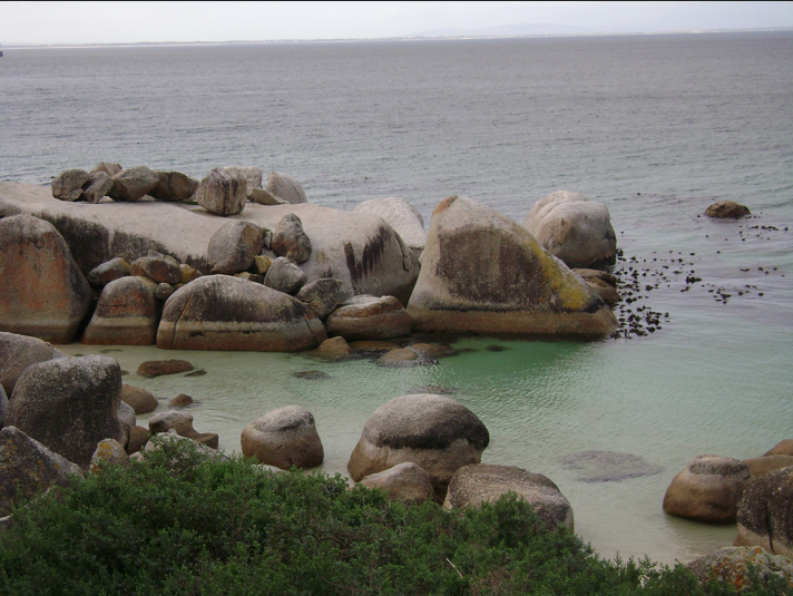 Boulders Beach, South Africa
