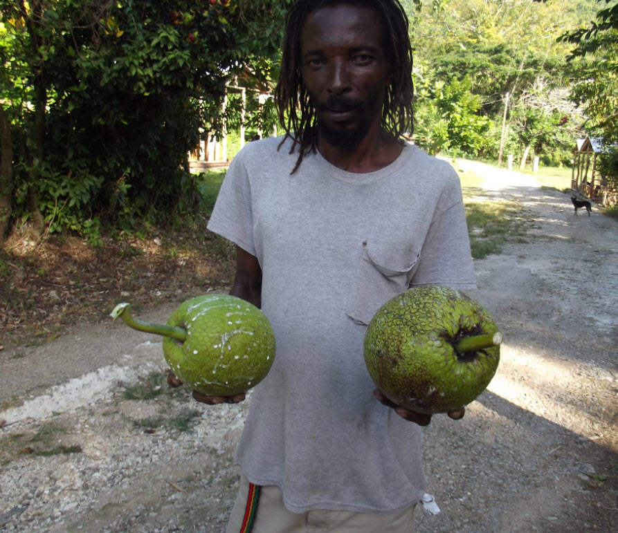 Robbie with breadfruit