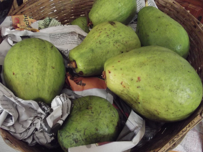 Avocado