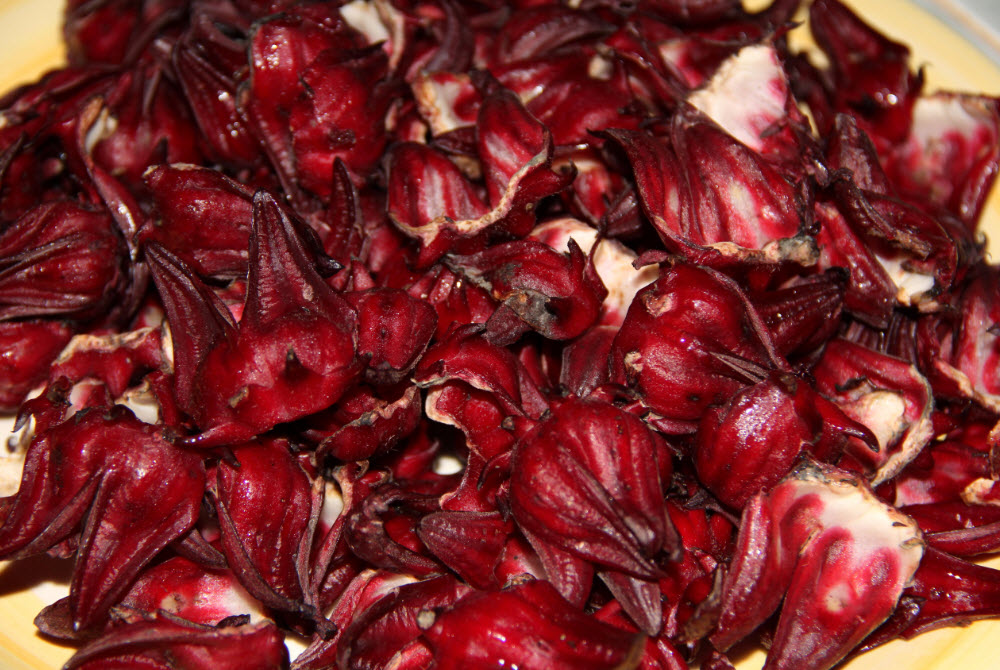 Sorrel, a Popular Jamaican Christmas Drink