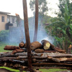 Street Food, Jamaican Stye