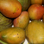 Julie and Graham mangoes