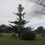 Hope Botanical Gardens
