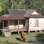 Residential Styles
