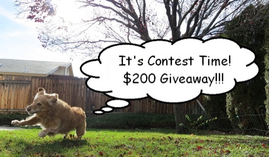Mike's contest