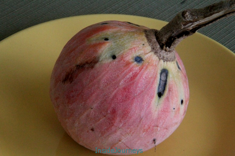 Custard Apple