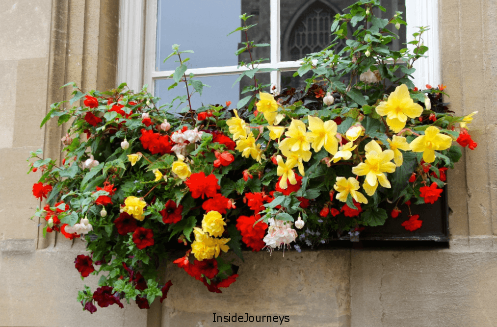 Bath window box